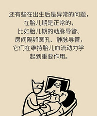 �����ڵġ����Ż���������Щɶ��