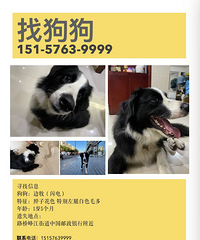 ·�ŷ彭һ���ؽ�Ѱ�� ����