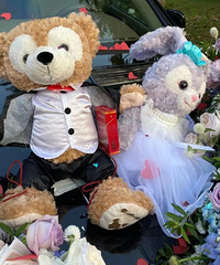 ̫ϲ������¶�ˣ���һ��¶¶����ɫ���鳵������������