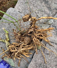 �������˱��������°�ؼ�ϴϴ�����