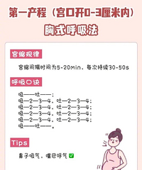 ˳������ڱ��ഫ���������������С�и��Ƕ�ѧ������