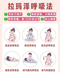 ˳������ڱ��ഫ���������������С�и��Ƕ�ѧ������