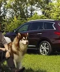 Ӣ����ϣ�����˭��ţ�ƣ� �����Ҿ�ǩ��