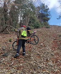 �������г�ͽ��