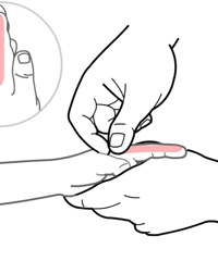 21��С�����ó����ַ���ͼ�ϼ���ѧ��ֹ����