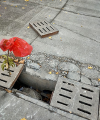 ��ˮ�����������Ϊ�İ㣿