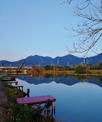 [������]ů������Ұ����ɫ����