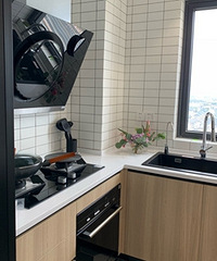 �ͳ�����