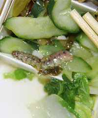 �㵱��ĳ��������