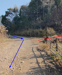 �������ռ�NO.59������������ɽ�����ӵ����Ǹ߱���