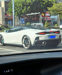 �ĵĲ�������ϧ���屻Taycan�����ˣ��ܾ����ǵ糵��