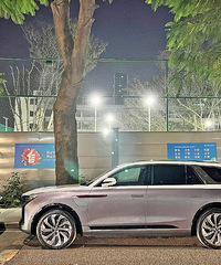 ���������ġ�������ͣ����ͷ�����Ż����ͦ�����Ƶģ�