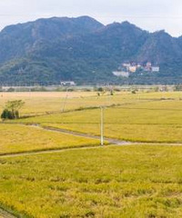 [�������ϵ���]���۳����ࣺ�ֳ���������