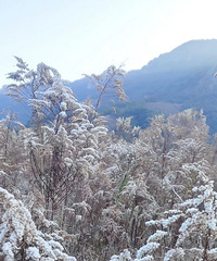 ëҶ填ɽߡǰɽ填᮴崩Խ