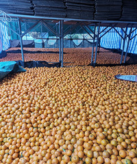 ����̨�ݸ��صĽ����ձ����������ĳ��ȴ��ȥ���ƽ