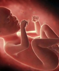 ��������ˮ���˻���©�򣿷ֲ�������迴����