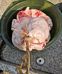 �·�ص��˴�ǰ���������ʲô���������Ǹ���