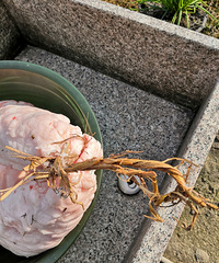 �·�ص��˴�ǰ���������ʲô���������Ǹ���