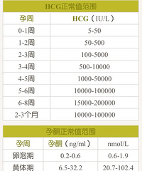 �����Ժ�HCG��ÿ��48Сʱ�����������տ�����