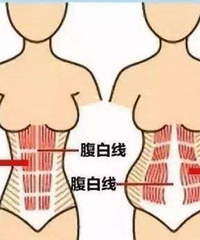 ����Ů�����͡���Ů������ɶ����һ�Ÿ�ֱ������ͼ������