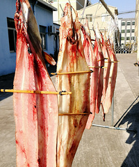 [������]ɹ����