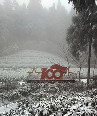 ��̨ӾϪ~�Ի�~˫Ϫ~������ѩ