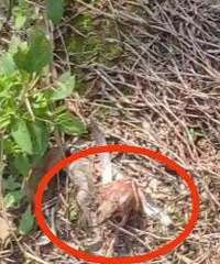 ΪʲôҪ���ң�