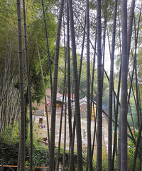 ӿȪ���ﻷ�ߣ����ֺ�ɽ�����ⰻȻ