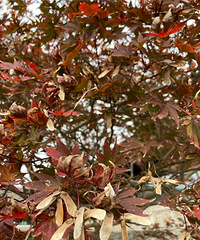 [�۸���]�������ڵ���ҵ�����˶��