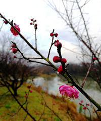 [������]÷�����ˣ�����һ����Ȥ