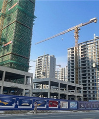 �ĺ�¥������