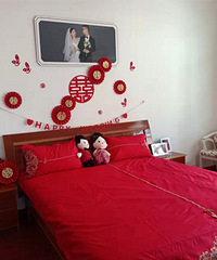 ����ɹ�������������