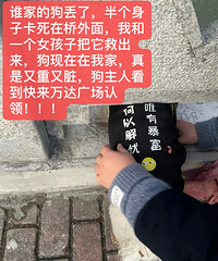 ��С��һֻ��ȫ��Ѱ��Ѱ�ҹ�����