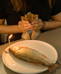 ϣ������2022�ľ�ϲ��92�꽷����ҵ��MM�Ҷ���