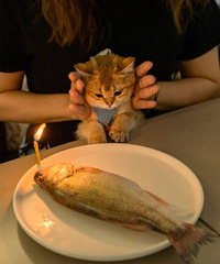 ϣ������2022�ľ�ϲ��92�꽷����ҵ��MM�Ҷ���