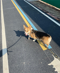 ˭�ҵĿ»�Ȯ���ˣ����¶���ǰ��Ŀյ�