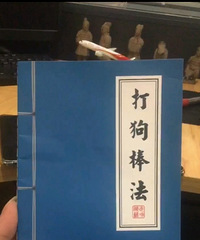 ���˲���˼��Ŀ����װ��ǣ������г�Խ���˰�