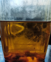 ������Ҳ�����ף���֪����