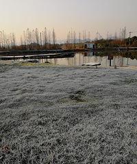 [������]2021�����һ����糿��˪��ѩ