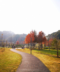 [����]̨��ֲ��԰���¹��ԣ���������ֲ��Ū���ֺ��ָɾ�