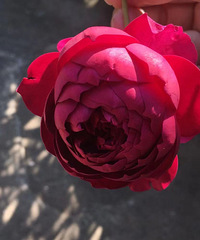 86������������������ӣ����ƽ�������ӹ��Ĳ�ƽ��һ��