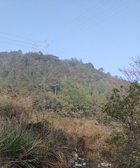 Ⱥɽ֮�еĺ��ڡ��ֽ����˼ҵĵ��ƽ��������