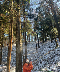 ��һ�����׸�¥��95�����С���