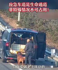 �����¹��γ�Ӧ������Υͣ�޹���Ӧ������������ͨ��������ռ�ã�