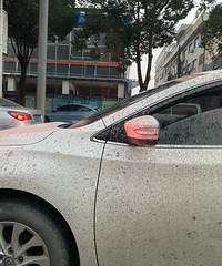 ���������ġ�����ȥ�����