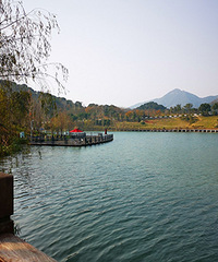 ̨��ֲ��԰���¹���