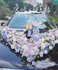 ����¶ɫϵ�鳵