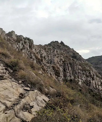 ֱ�ϰ׼���·�ߣ�·����ľ�࣬�о�����