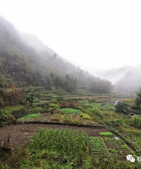 ���������ͷ���ߣ�����ո�£������Ŀ�����