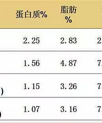 ��֪���𣿰�ʱ��ιĸ���ǵ���������ҹ�ߵ���ѽ������